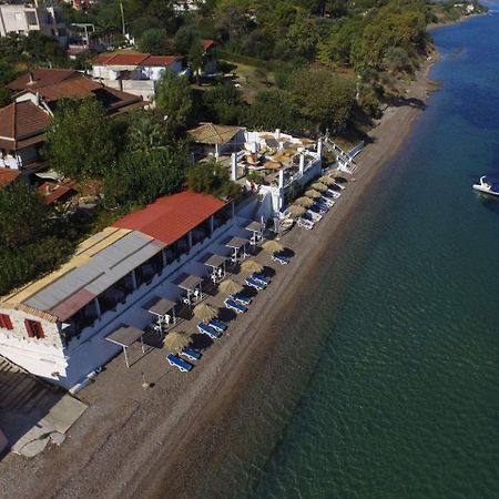 Taradella Hotel Alissos Eksteriør billede