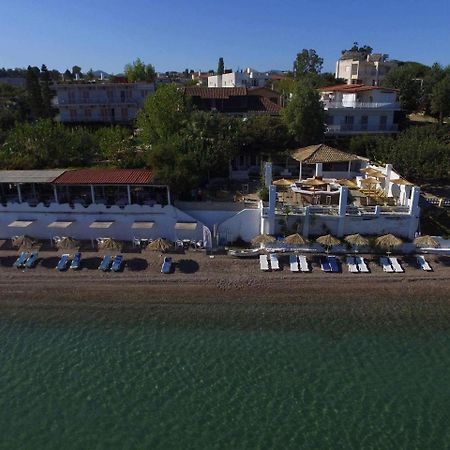 Taradella Hotel Alissos Eksteriør billede